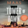 Tower of Dawn