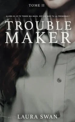 Troublemaker - Tome 2