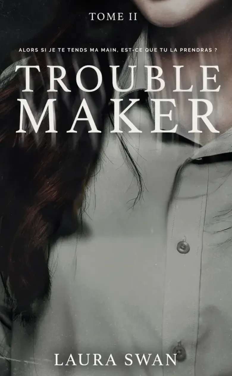 Troublemaker - Tome 2