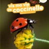 Vis ma vie de coccinelle