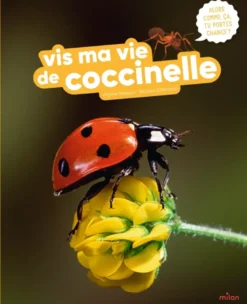 Vis ma vie de coccinelle
