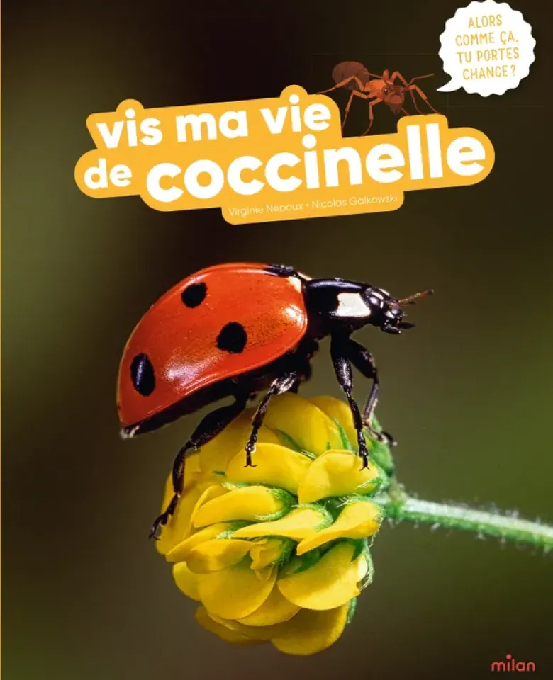 Vis ma vie de coccinelle